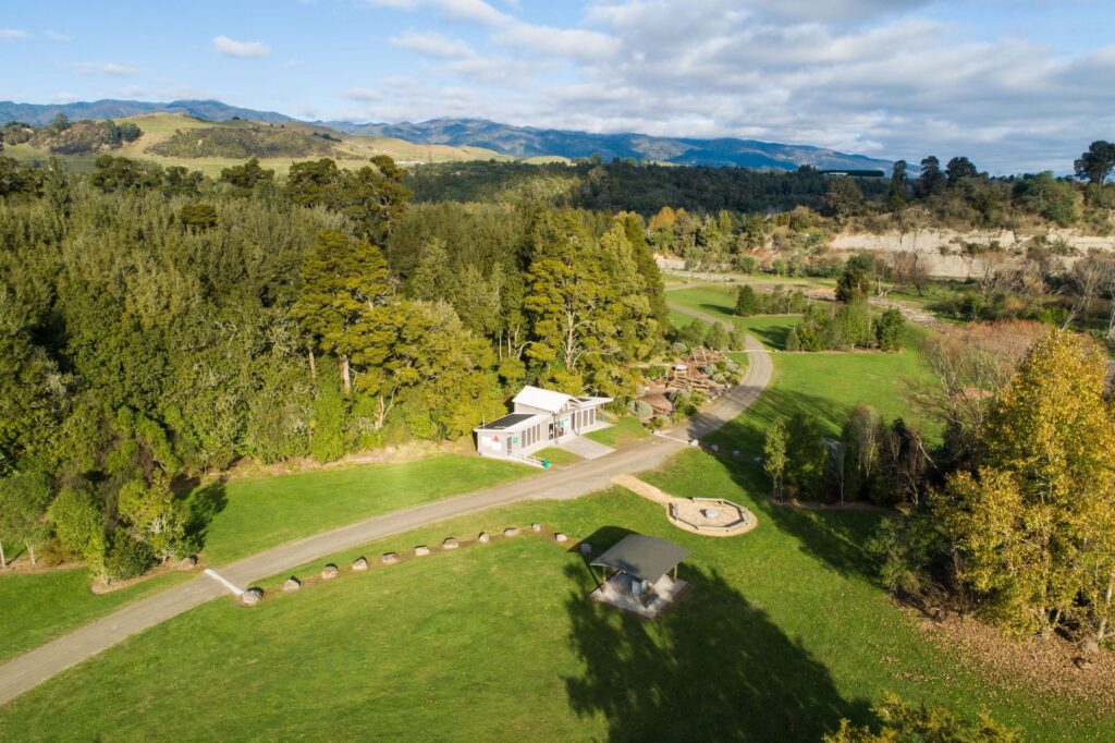 kereru-aerial-1