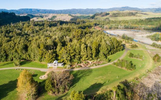 kereru-aerial-2