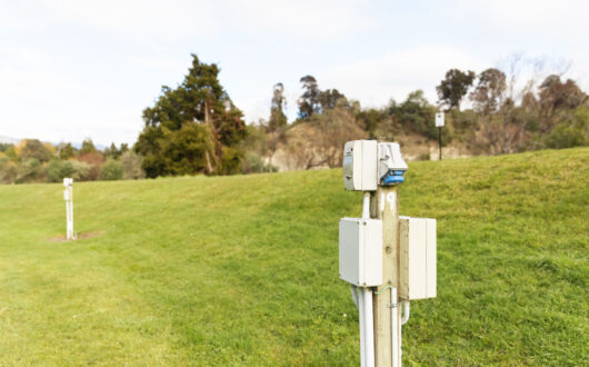 kereru-powered-sites-close-up